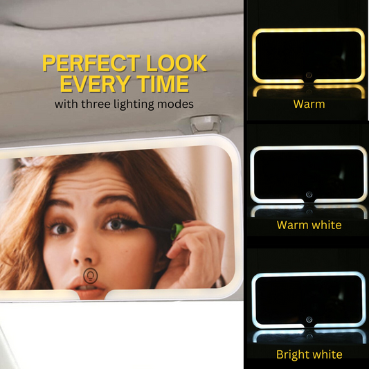 LED Passenger Seat Mirror